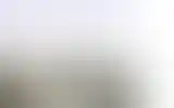 Blurred archive preview