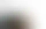 Blurred archive preview