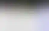 Blurred archive preview