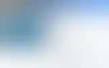Blurred archive preview