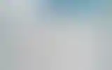 Blurred archive preview