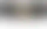 Blurred archive preview
