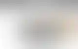 Blurred archive preview