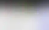 Blurred archive preview