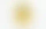 Blurred archive preview