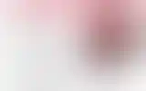 Blurred archive preview
