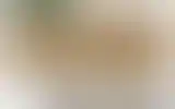 Blurred archive preview