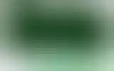 Blurred archive preview