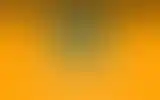 Blurred archive preview