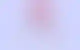 Blurred archive preview