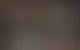 Blurred archive preview