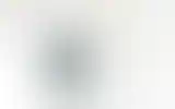 Blurred archive preview