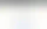 Blurred archive preview
