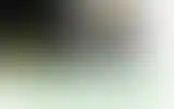 Blurred archive preview