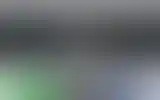 Blurred archive preview
