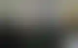 Blurred archive preview