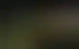Blurred archive preview
