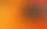 Blurred archive preview