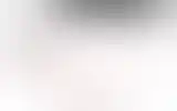 Blurred archive preview