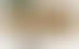 Blurred archive preview