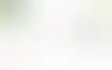 Blurred archive preview