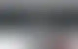 Blurred archive preview