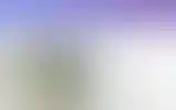 Blurred archive preview