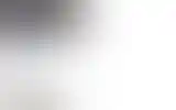 Blurred archive preview