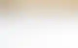 Blurred archive preview