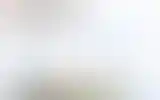 Blurred archive preview