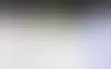 Blurred archive preview