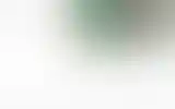 Blurred archive preview