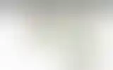 Blurred archive preview