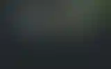 Blurred archive preview