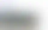 Blurred archive preview