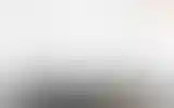 Blurred archive preview
