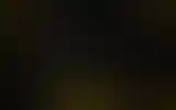 Blurred archive preview