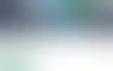 Blurred archive preview
