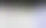 Blurred archive preview