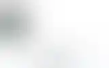 Blurred archive preview