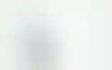 Blurred archive preview