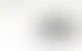 Blurred archive preview