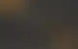 Blurred archive preview