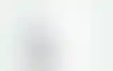 Blurred archive preview