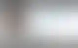 Blurred archive preview