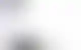 Blurred archive preview