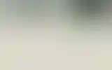 Blurred archive preview