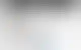 Blurred archive preview