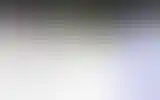 Blurred archive preview