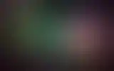 Blurred archive preview
